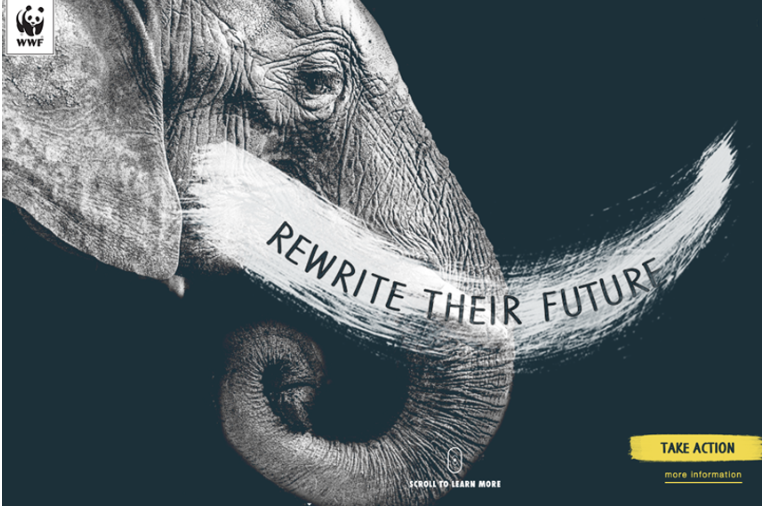 Rewrite the Future