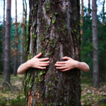 Tree hugger