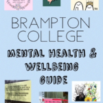 Brampton college mental health and wellbeing