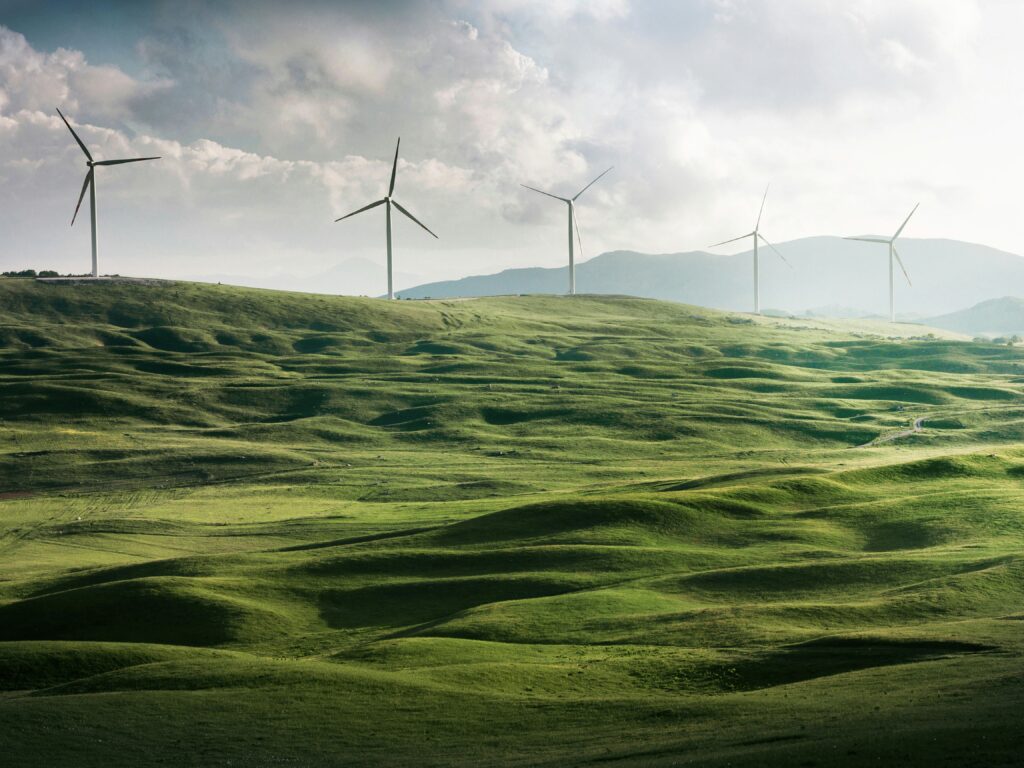 wind turbines on a field