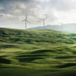 wind turbines on a field