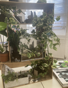 Indoor terrarium on a wooden stand, with trailing variegated ivy draped over the glass and mirrors inside.